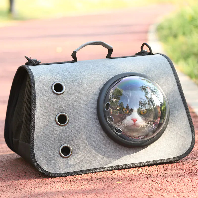 Sac à Dos Pliable pour Chat avec Design en Maille Respirante