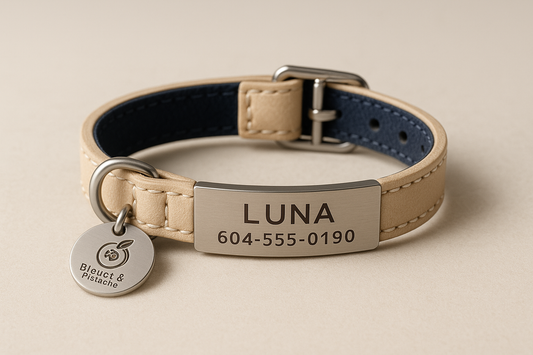 Collier tendance Sphynx – Logo Bleuet & Pistache | Confort & Sécurité Luxe